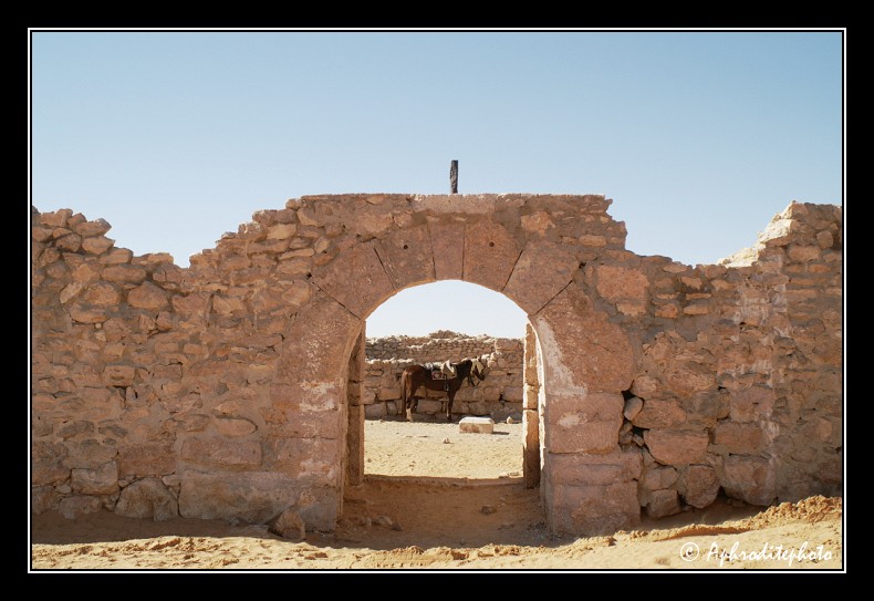 137 A 3 km de Ksar Ghilane, les ruines d un fort romain